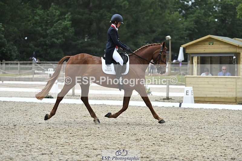 230525-125415-02052 - 112-BILLY_MAPLE-Kitty_King-WEDTrotUp+DR