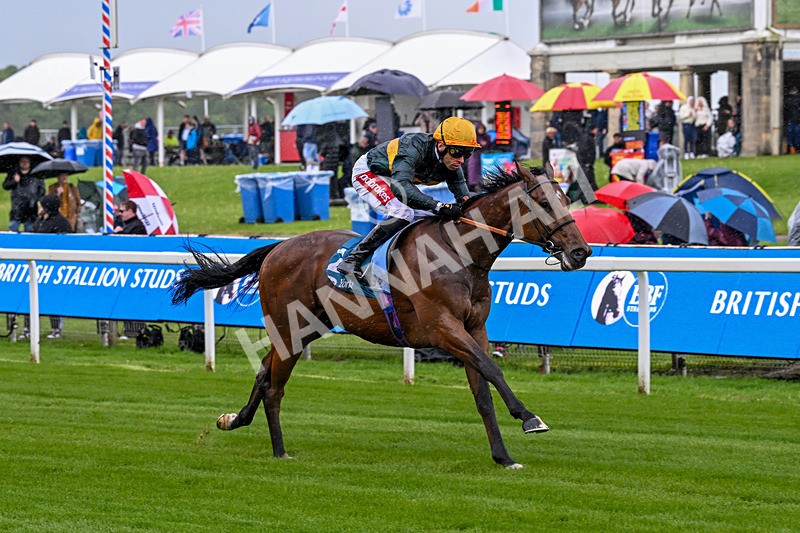 130526-Race 1-Cut A Dash-1983 - Race 1 1.45pm British Stallion Studs EBF Novice Stakes