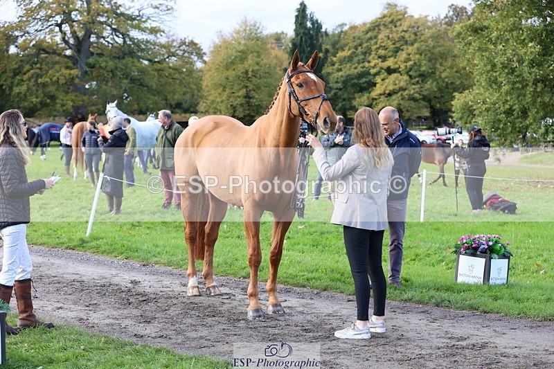 251026A-101801-22861 - D-359-Chloe.Richards