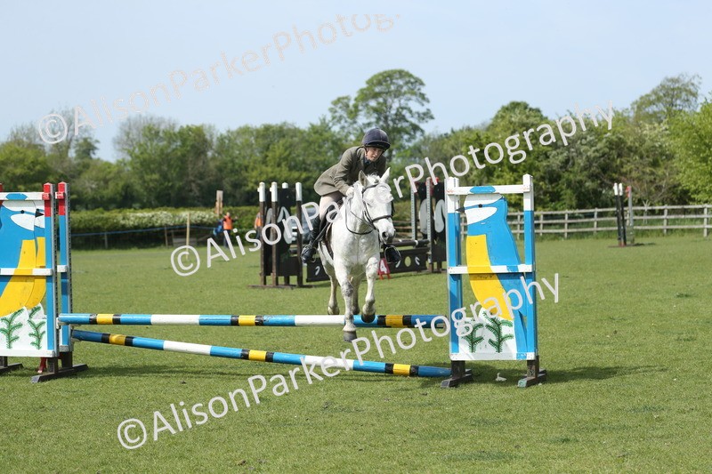 20260426-1787 - Class 14 - Novice 60cm