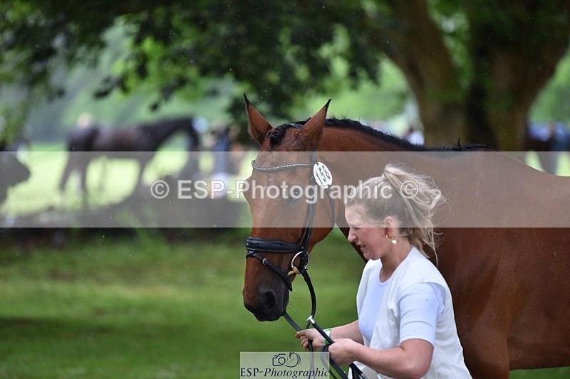 240522-161124-00767 - 158-MY_EASTWOOD_BRIGHTSIDE-Darcy_Zander