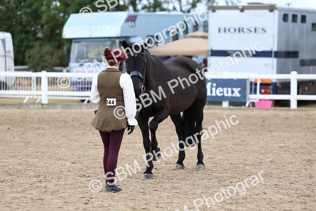 SBM_05109 - Class 27 - IH Competition Horse or Pony
