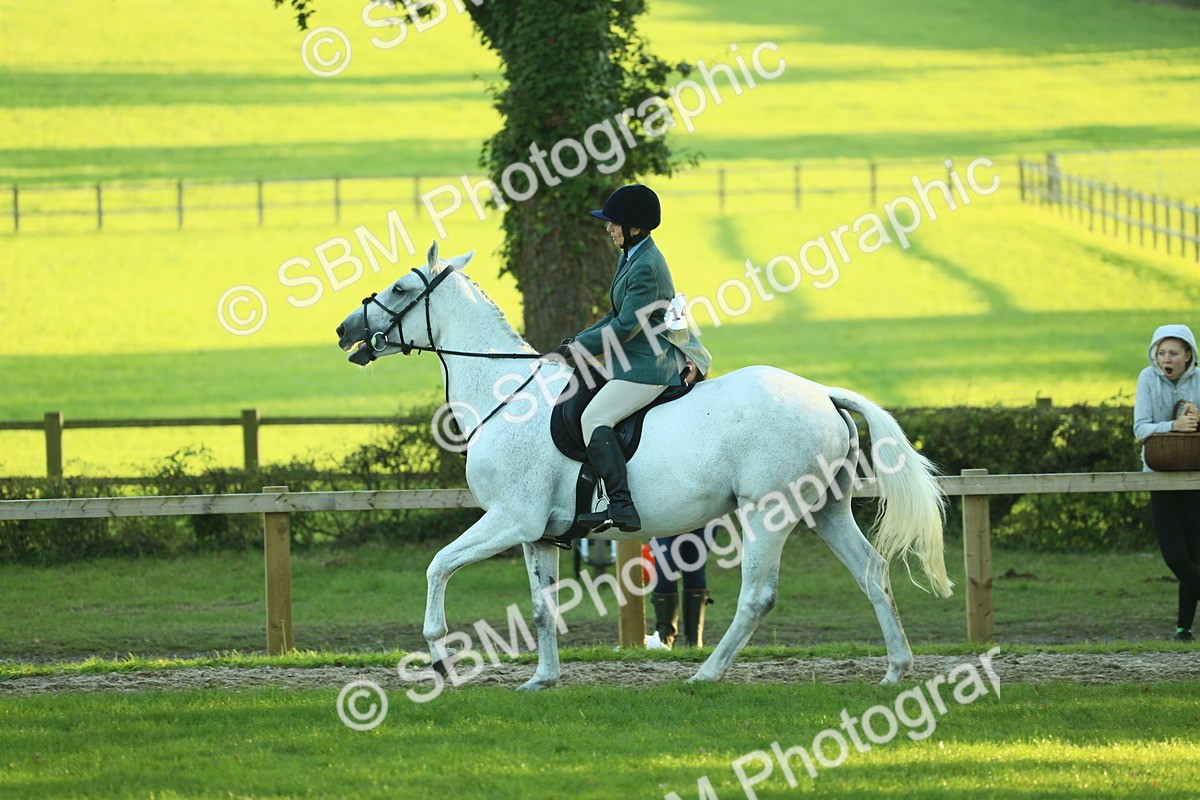 SBM_56414 - S14 - Riding Club Horse