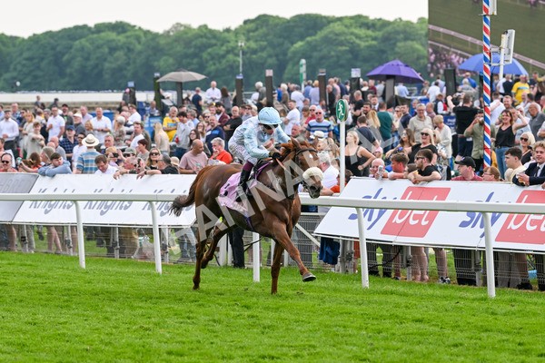 170524-Race 4-Giavellotto-8082 - Race 4 3.45pm Boodles Yorkshire Cup Stakes