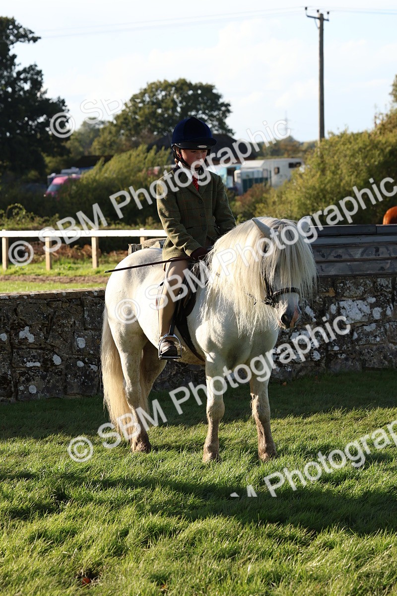 SBM_52668 - S13 - Pony Club Pony