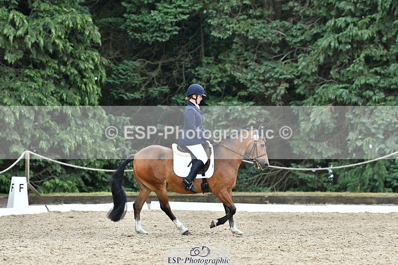 260801A-125903-04107 - Prelim Bronze Break - End