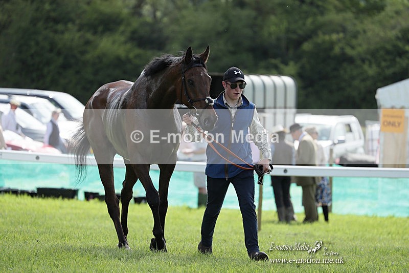 PtP 070523 326 - Kimblewick Races Coronation Meet  Kingston Blount 07/05/23