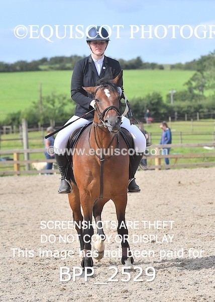 BPP_2529 - DERBY CLASS 7 - 80CM