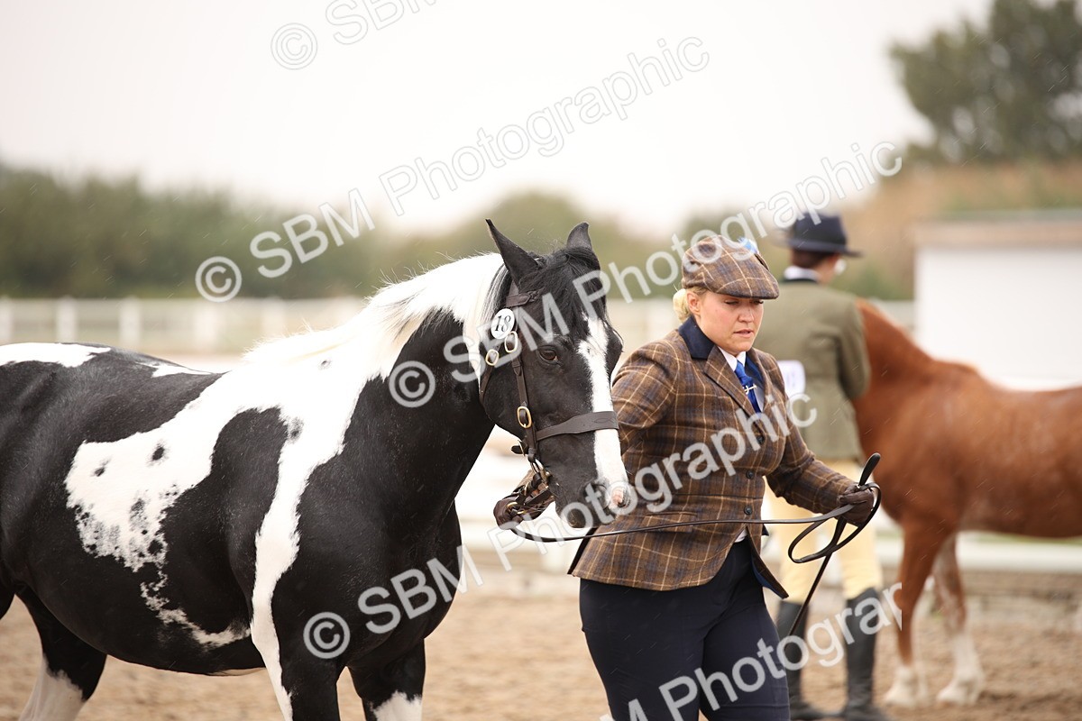 SBM_20207 - Class 703 - IH  Coloured