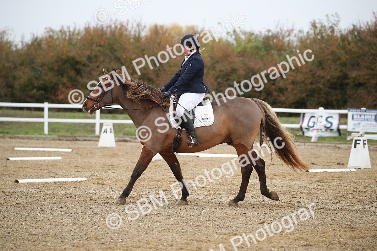 SBM_000495 - Intro 2