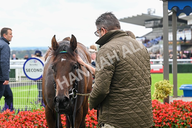 240924-Race 3-Nala Star-6156 - Race 3