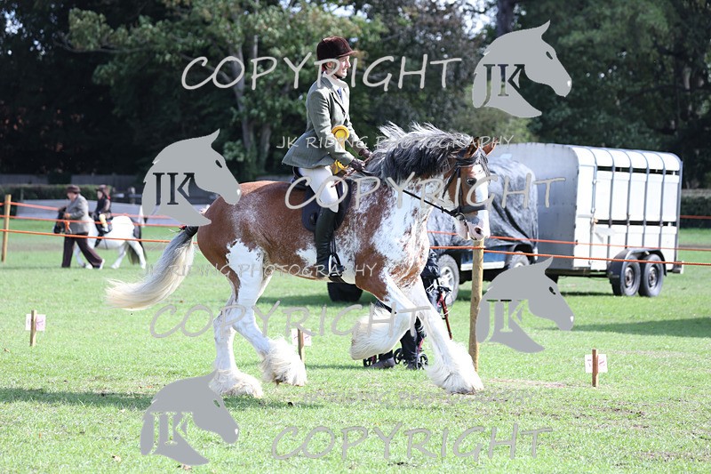 APP_3772 - Class 8 Ridden Class