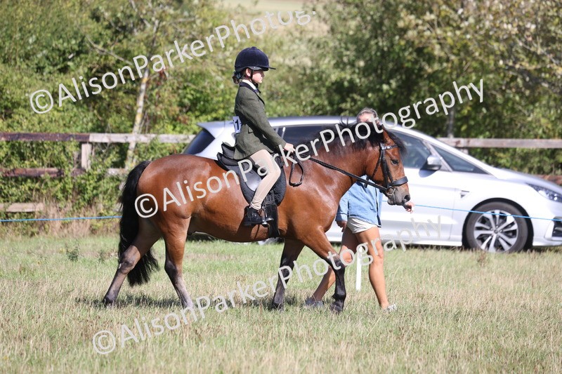 20260906-2151 - Class 16 - Family Pony