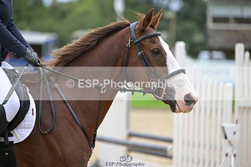 240929-125916-00820 - Cls 2 80-85cm 12.15 to End