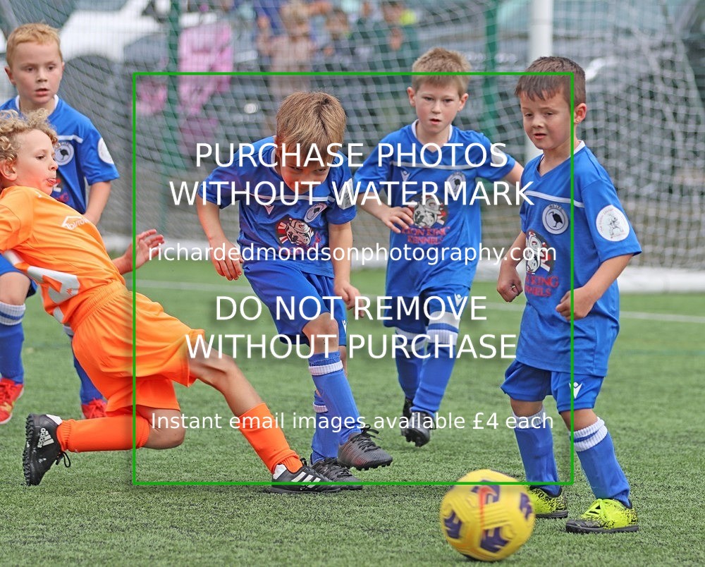 IMG_0635 - Under 7 Festival