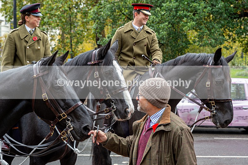 NGP_7073 - Animals In War Memorial - 10-11-23