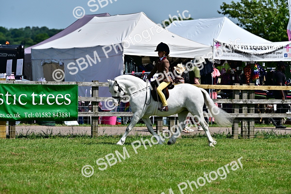 SBM_06057 - Class 59-60 - TSR M&M  Lear Rein and First Ridden Amateur of the year
