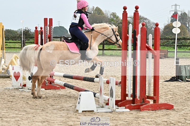 241110-113246-00454 - 50-55cm Arena Eventing