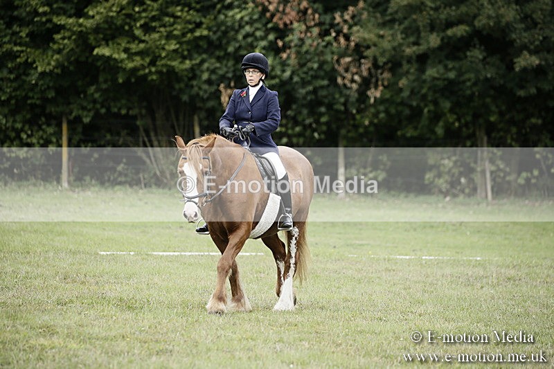 BVR080918 46 - BVRC Novice Dressage & CR 08/09/18