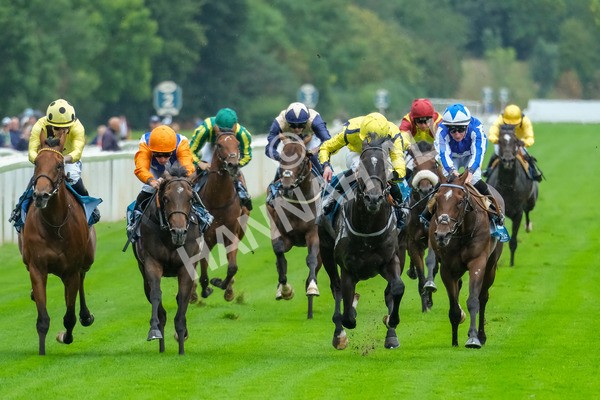 080925-Race 1-Proud Nation-7482 - Race 1 2.30pm Enter ITV7 For Free Confined EBF Maiden Stakes