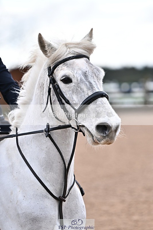 260208-133314-01374 - Cls 19+20 Club and Schools 60cm