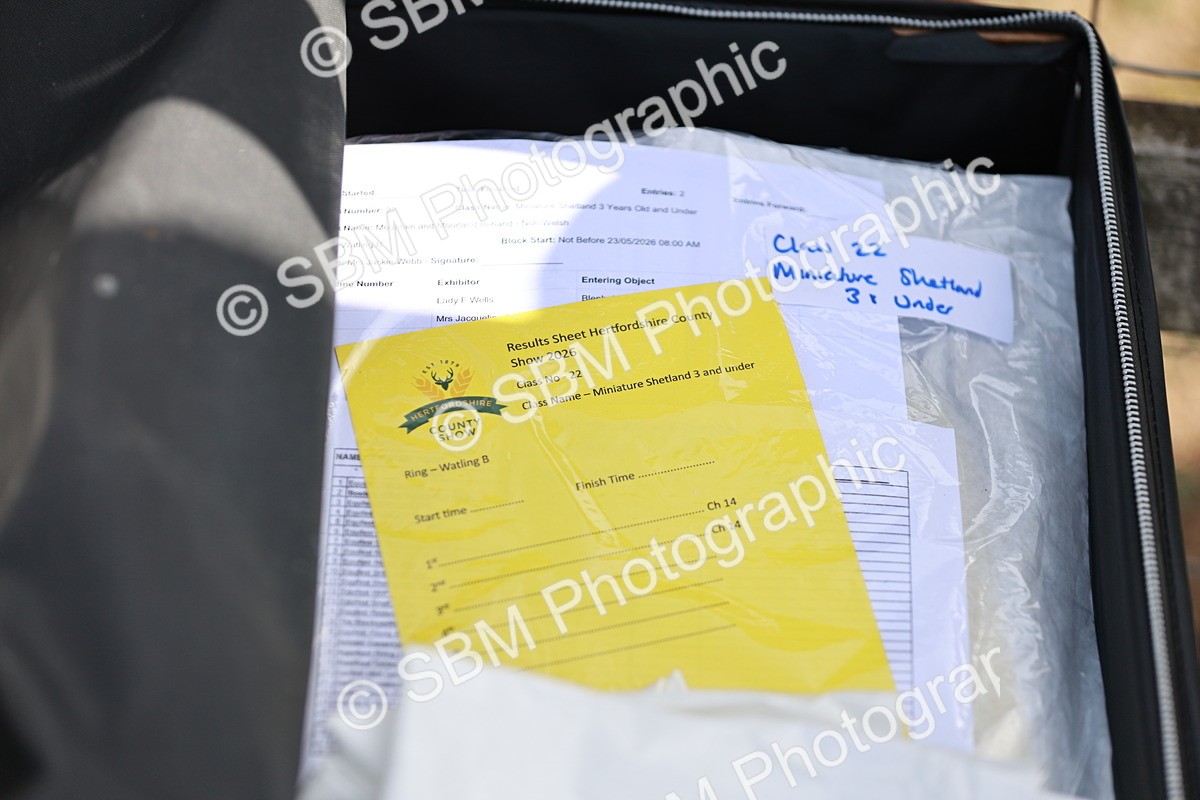 SBM_01869 - Class 14-23 - Mountain & Moorland In Hand Non Welsh