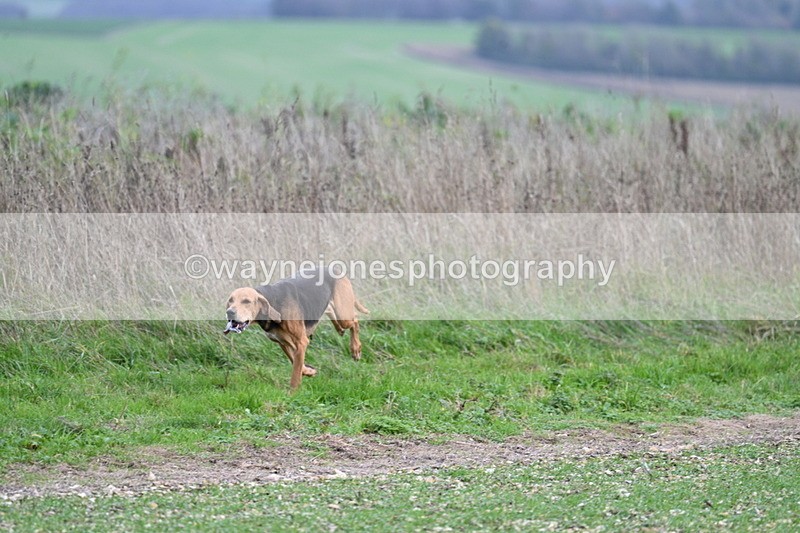 WJ7_2509 - Camera A