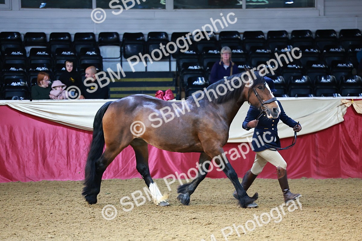 SBM_21770 - Class 901 - Supreme Final - IH  Diamond