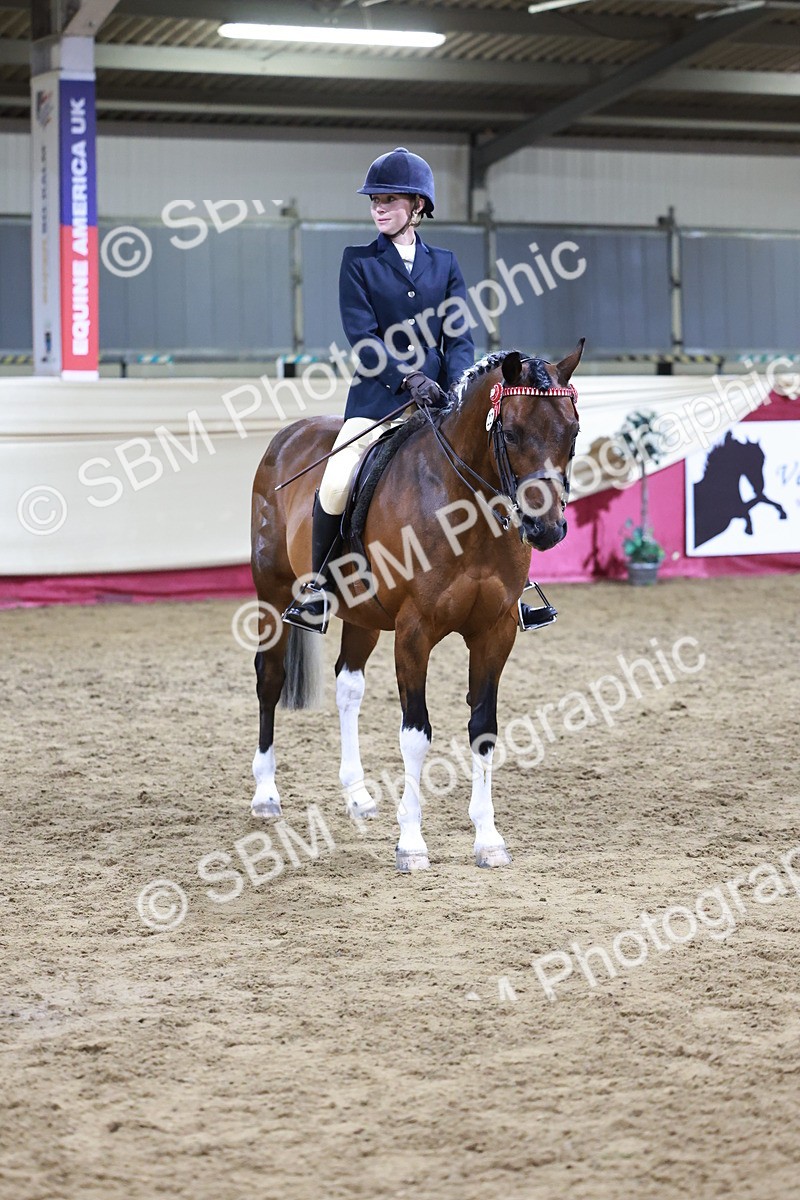 SBM_20851 - Class L - Coloured Champ