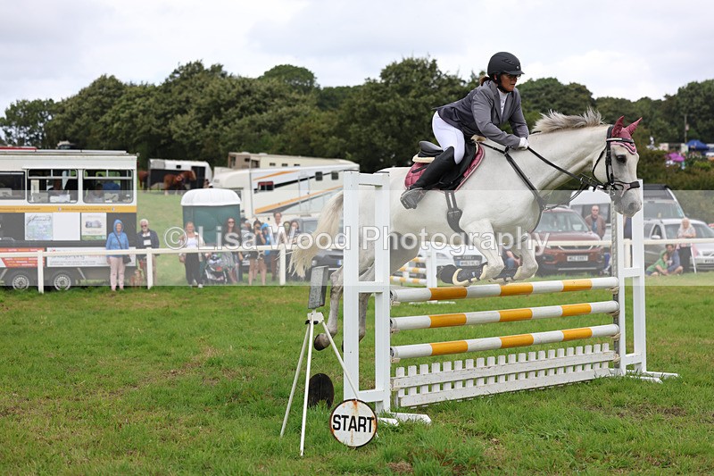 3E7A7242 - Class 5: Senior British Novice/90cm open