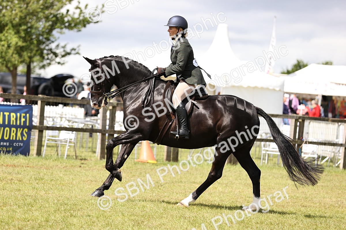 SBM_14540 - Class 88-89 - LIHS BSHA Rising Star of Ridden Hunter Type