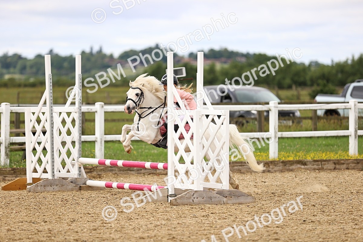 SBM_000146 - 50cm