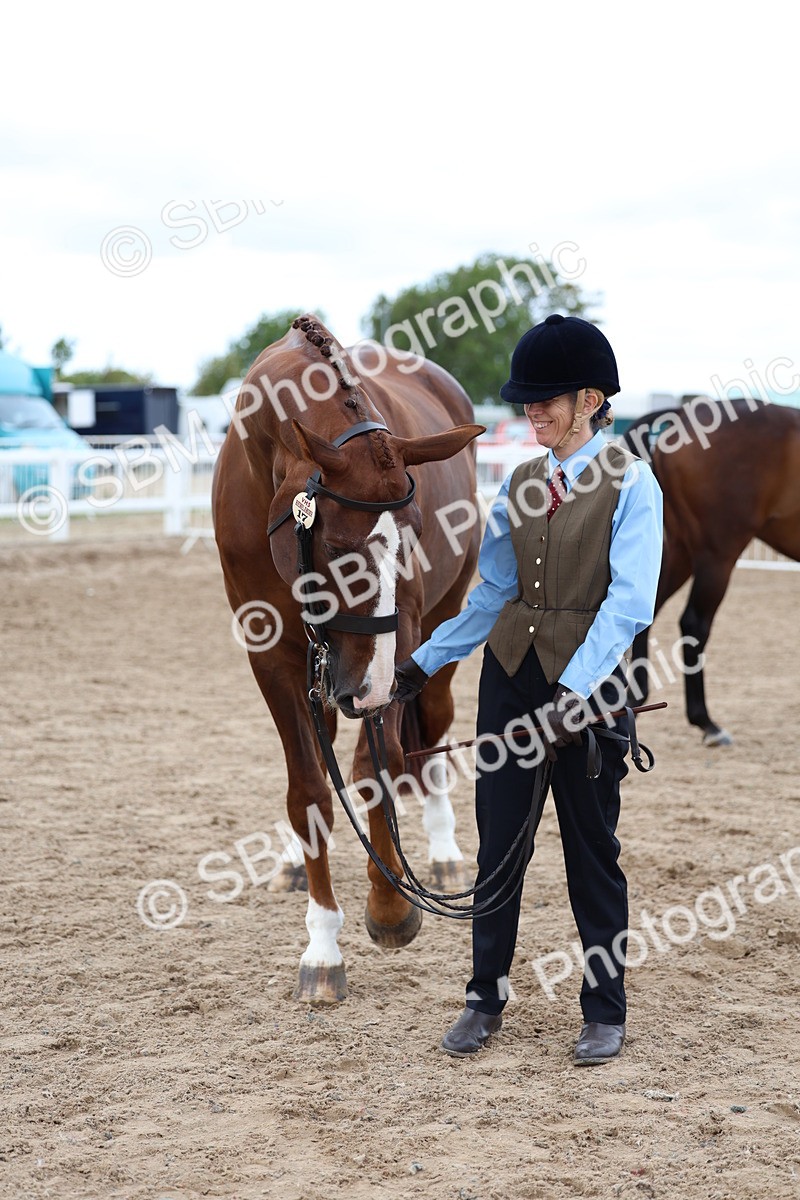 SBM_05088 - Class 27 - IH Competition Horse or Pony