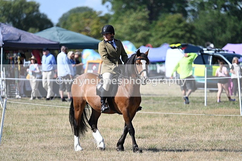 WJ7_3581 - Class 9 Mountain & Moorland Ridden