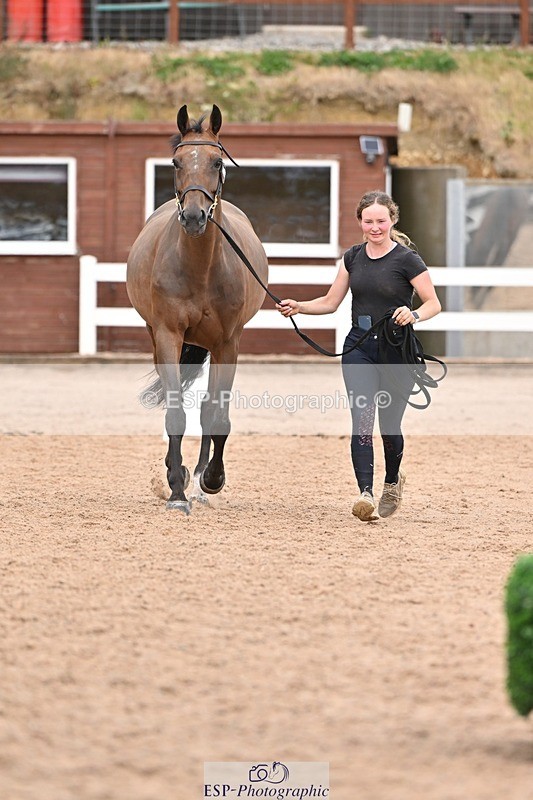 250716-163448-02682 - Trot Up 4.30 to 5.00