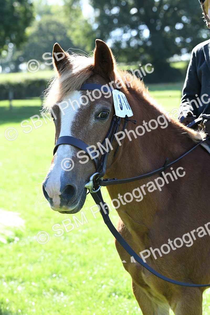 SBM_39618 - S18 - Novice & Newcomers Lead Rein Pony