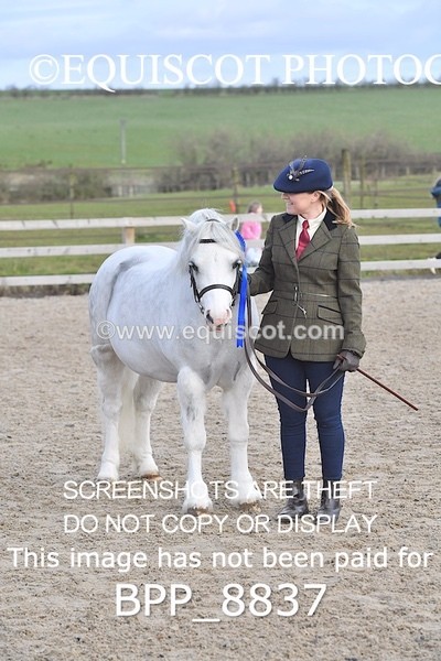 BPP_8837 - RING 2 - M&M