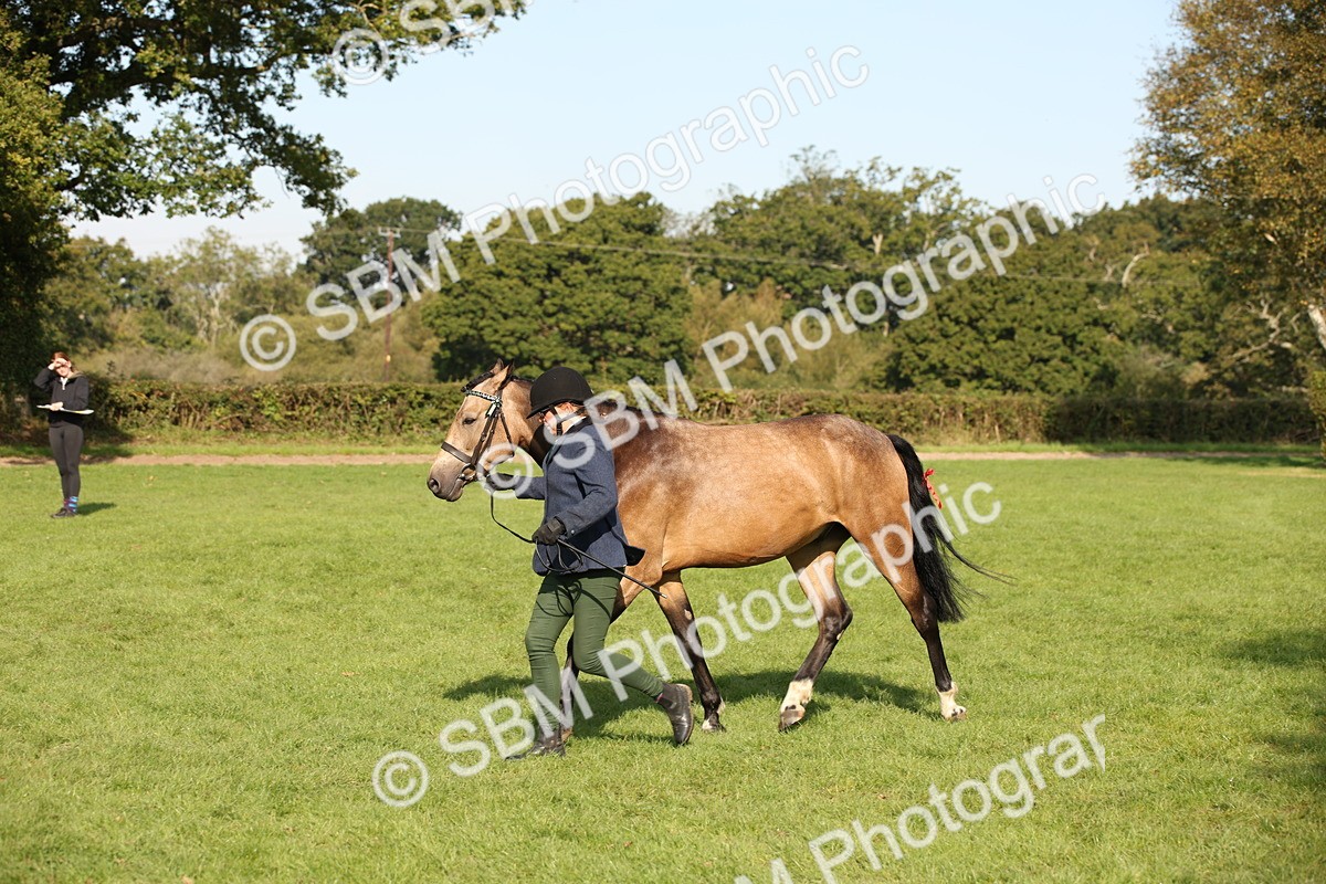 SBM_60124 - S53 - Hunter In Hand