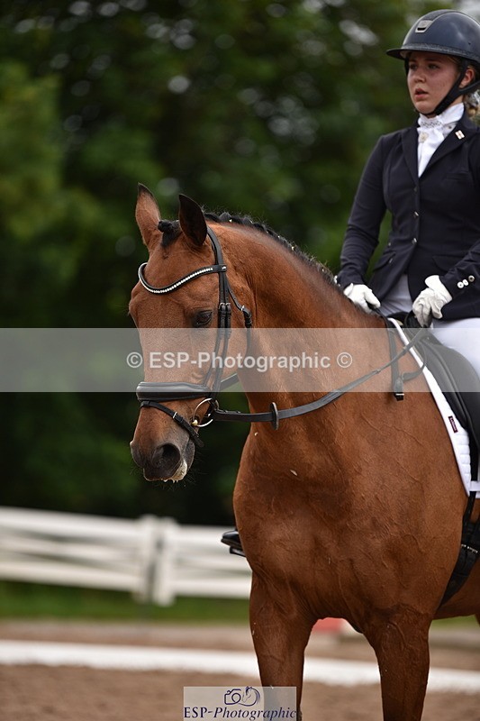 240623A-112312-17123 - Cls 47 BD Novice 22