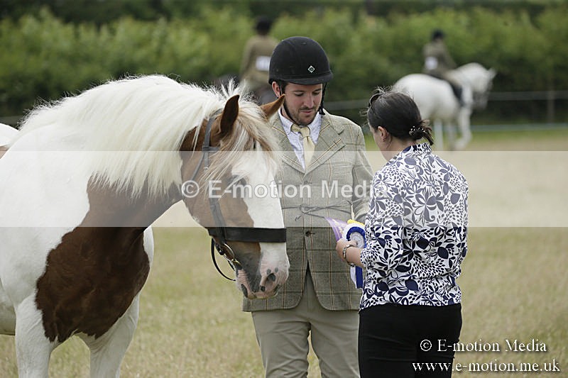 B230619-0702 - Bourne Valley Riding Club Summer Show 23/06/19