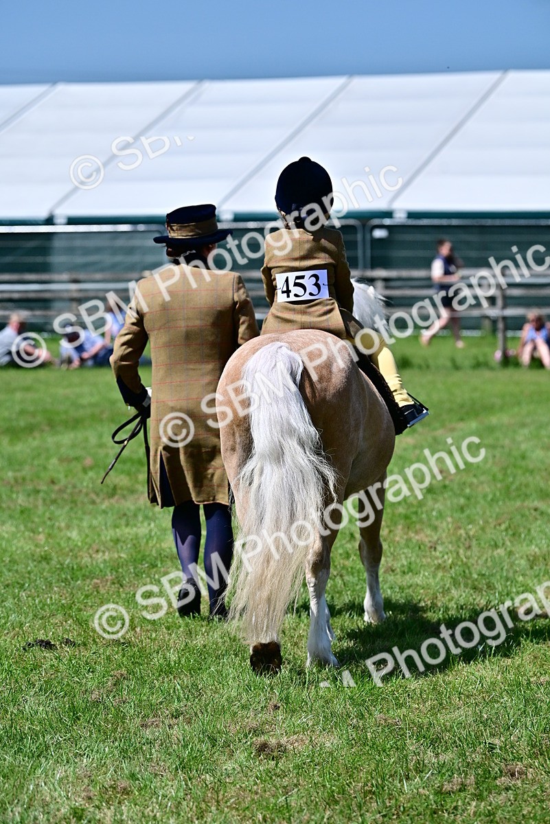 SBM_05928 - Class 59-60 - TSR M&M  Lear Rein and First Ridden Amateur of the year