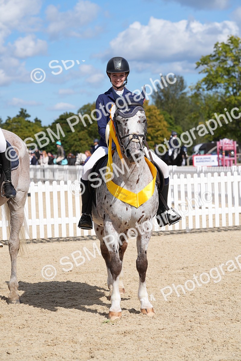 SBM_38906 - J21 - Junior Horse 60cm Championship