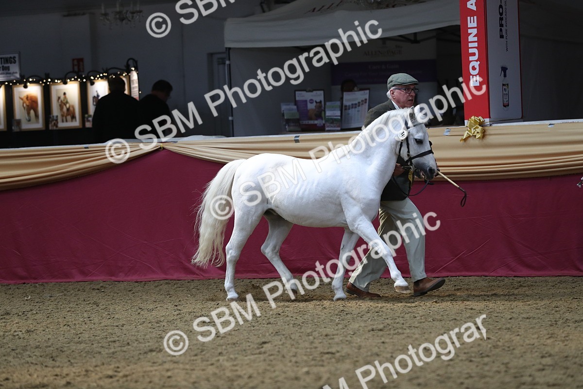 SBM_15191 - Class 501 M&M IH Supreme Final