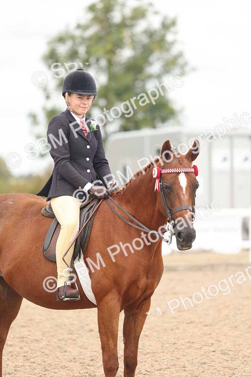 SBM_16035 - Class 311 - Ridden Show pony-Show hunter Pony