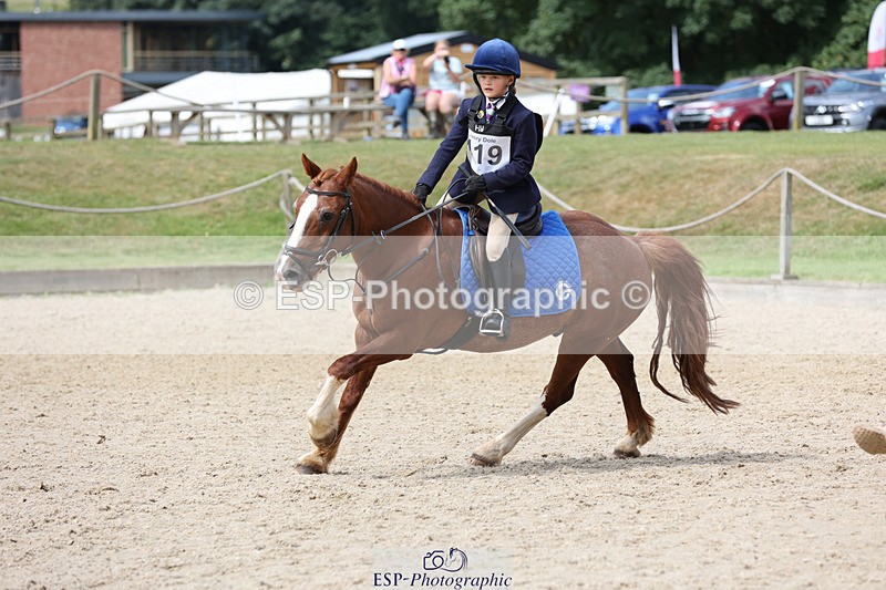 240823X-130239-17067 - 60cm R1 11.30 to 13.30