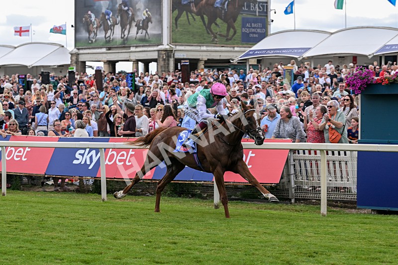 250726-Race 3-Item-7067 - Race 3 14.35pm Sky Bet York Stakes