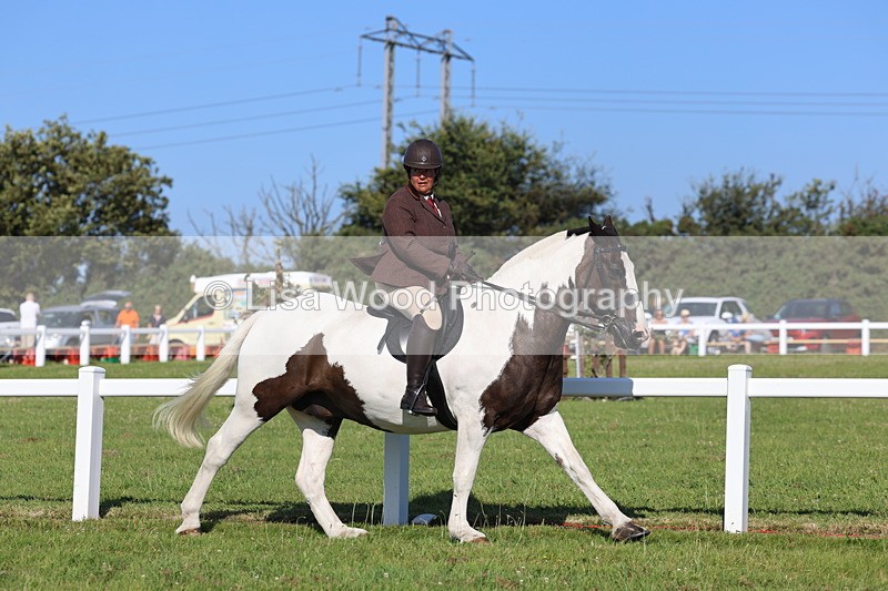 IMG_1481 - Class 30: Ridden Native/Trad Coloured Pony