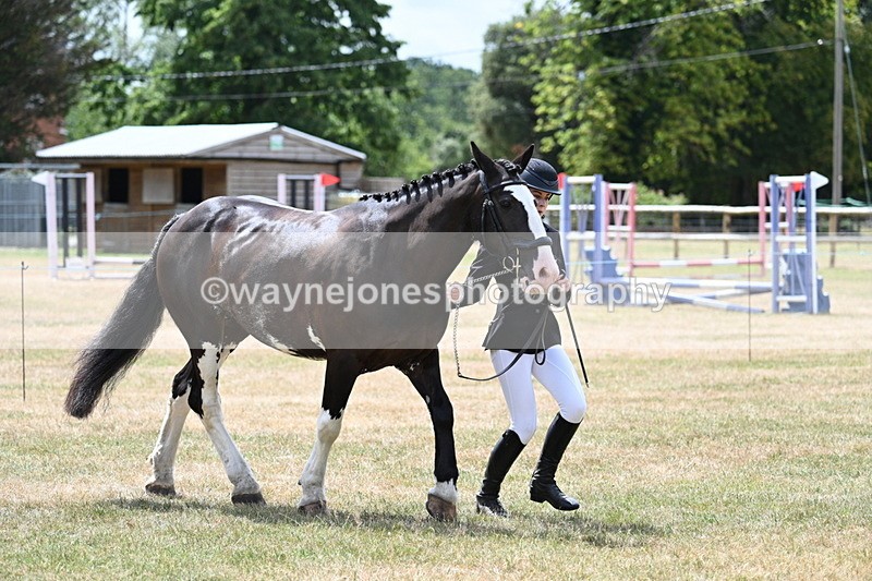 WJ7_1933 - Class 4a Prettiest Mare 14.2hh and over hand