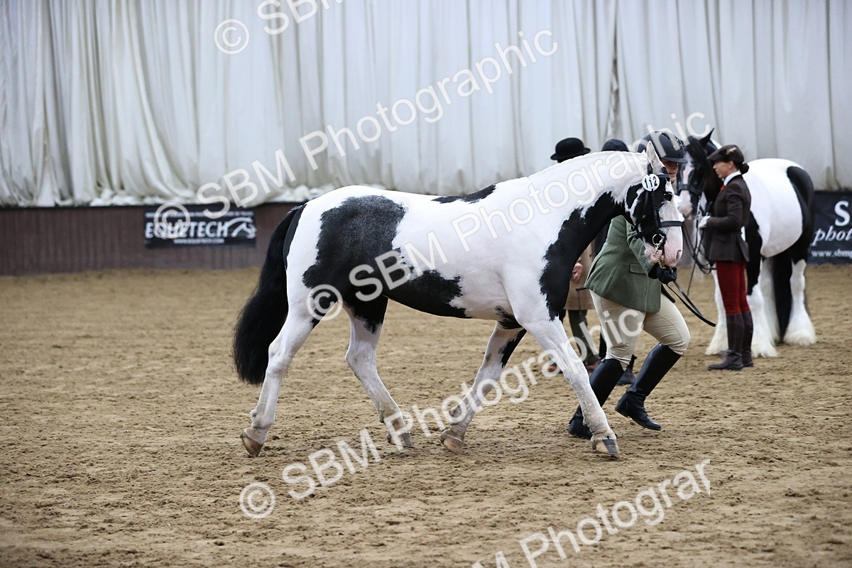 SBM_5655 - Class 40 - RESS In Hand Qualifier