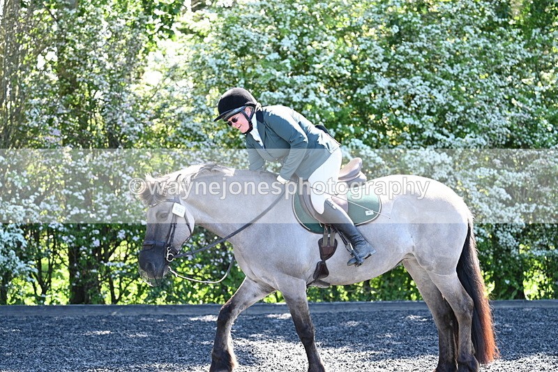 WJ7_9500 - Time 12:10 to 12:21